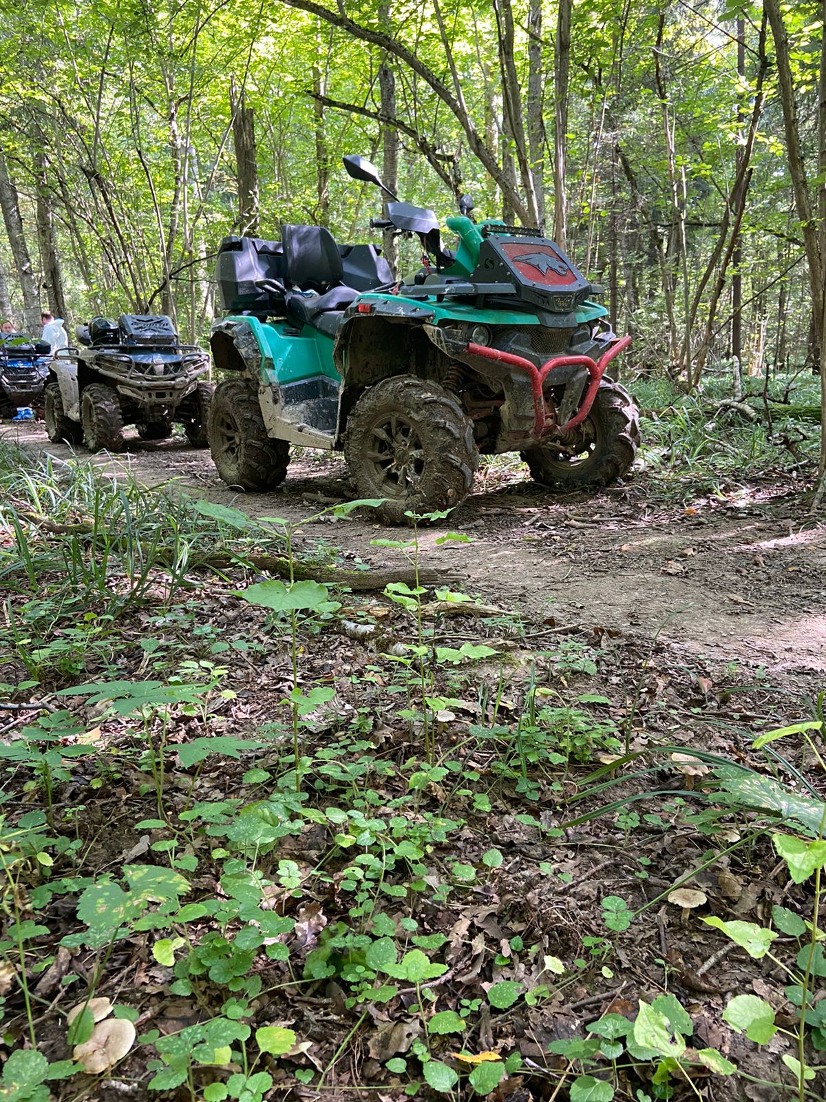 Прокат квадроциклов с инструктором